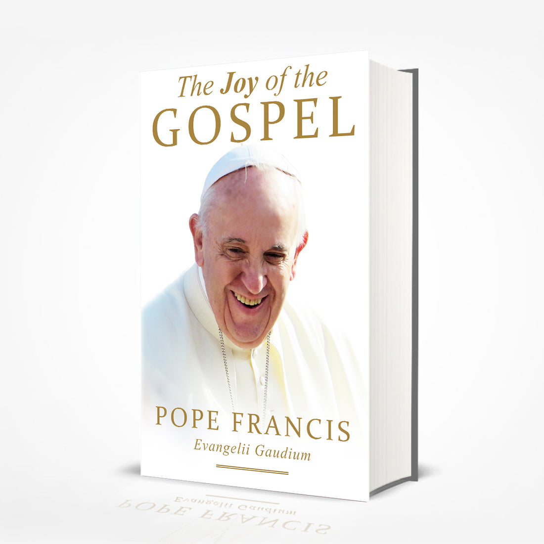 The Joy Of The Gospel - Evangelii Gaudium - Pope Francis - EBook INSTA ...